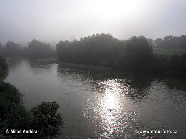 Madžarska