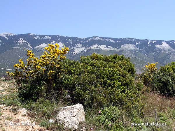 National park Ainos (GR)