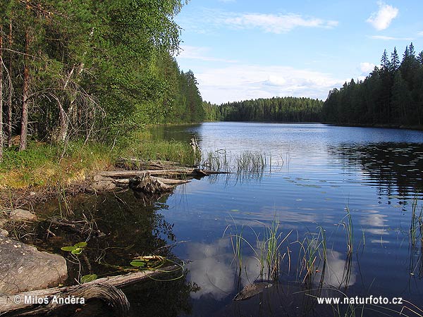 National Park Isojärvi (F)