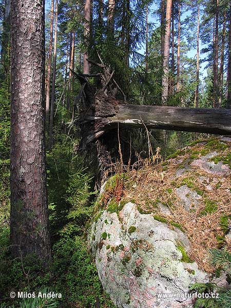 National Park Liesjärvi (F)