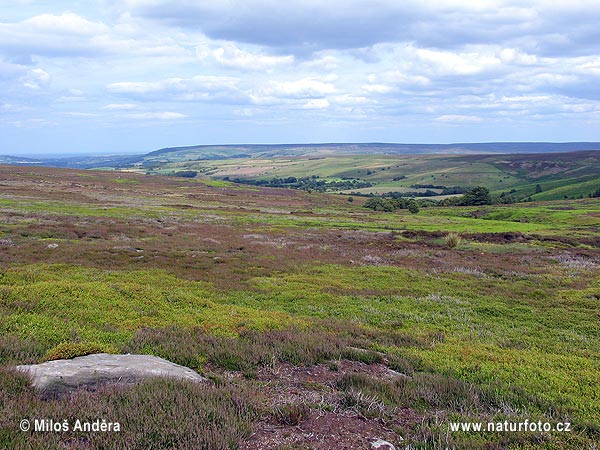 National Park North York Moors (UK)