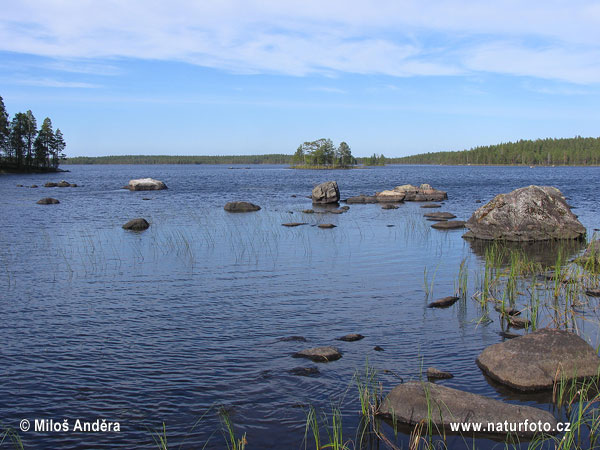 National Park Salamajärvi (F)