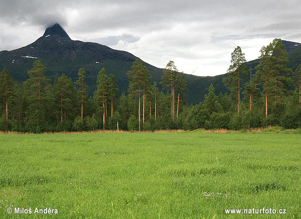 Norvège