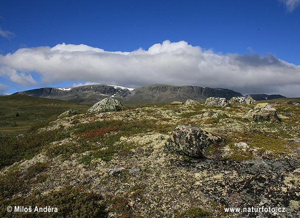 Norvège