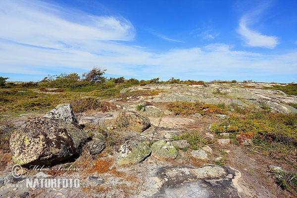 NP Ytre Hvaler, Norway (Ytre Hvaler nasjonalpark)