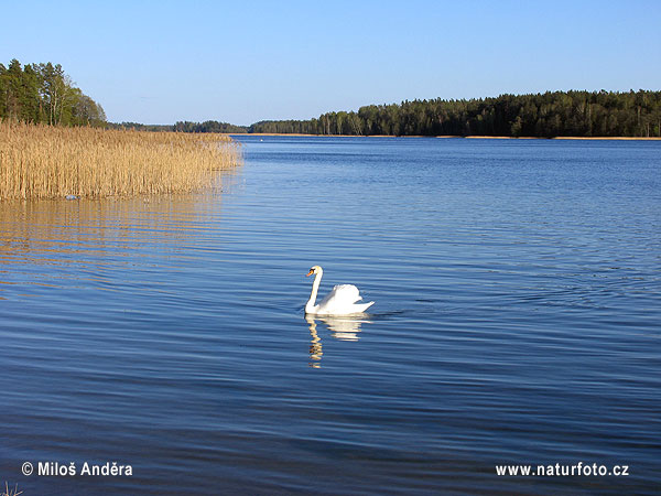 Poland