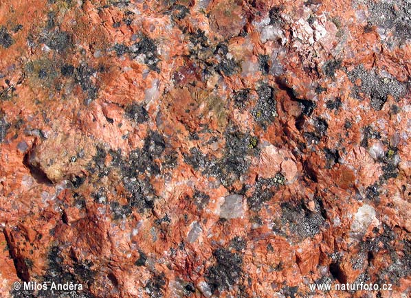 Rapakiwi granite (F)