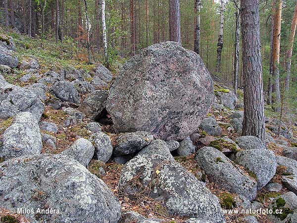 Suomija