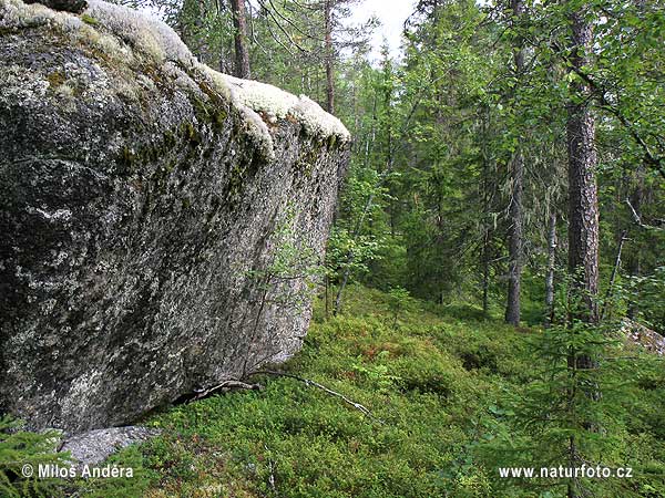 Sverige