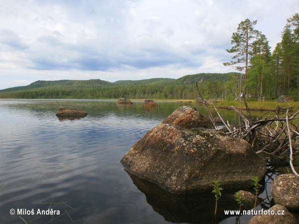 Sverige