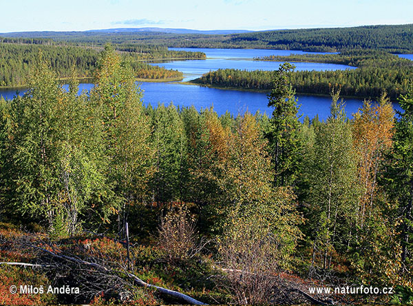 Sverige