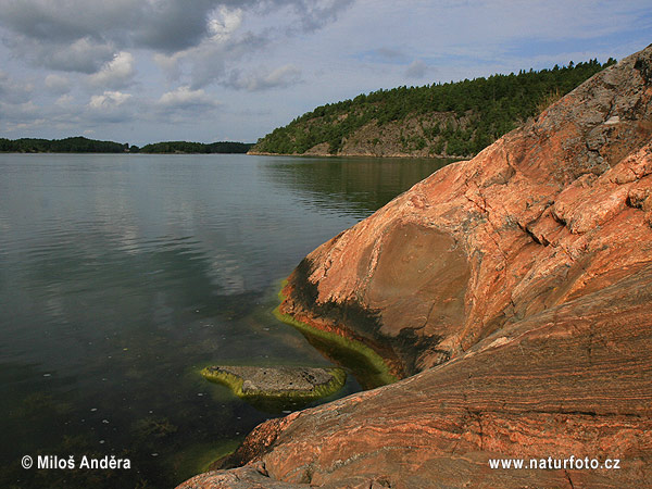 Svezia