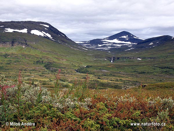 Svíþjóð