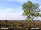 Галандыя, гістарычная вобласць