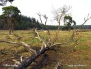 Галандыя, гістарычная вобласць