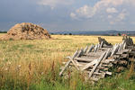 Agricultural landscape