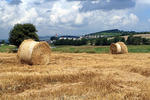 Agricultural landscape