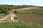 Agricultural landscape