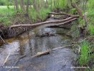 Biebrza National Park