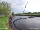 Biebrza National Park