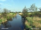 Holland provins