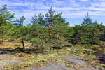 Kasterhavet National Park, Sweden