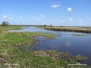 Narwe National Park