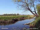 Narwe National Park