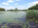 National Park Balatonfelvidéki