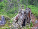 National Park Björnlandet