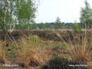 National Park De Loonse en Drunense Duinen