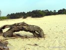 National Park De Loonse en Drunense Duinen