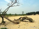 National Park De Loonse en Drunense Duinen