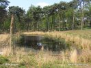 National Park De Maasduinen