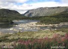 National Park Dovrefjell