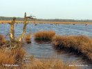 National Park Dwingelderweld