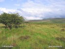 National Park Exmoor