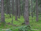 National Park Garphyttan