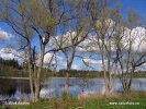 National Park Gaujas