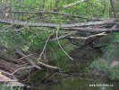 National Park Gaujas