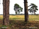 National Park Hoge Veluwe