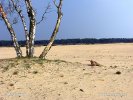 National Park Hoge Veluwe