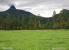 National Park Junkerdal