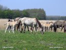 National Park Lauwersmeer