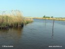 National Park Lauwersmeer
