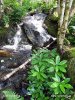 National Park Loch Lomond and Trossachs