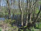 National Park Müritz