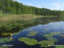 National Park Müritz