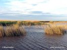 National Park Neusiedler See-Seewinkel