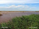 National Park Neusiedler See-Seewinkel